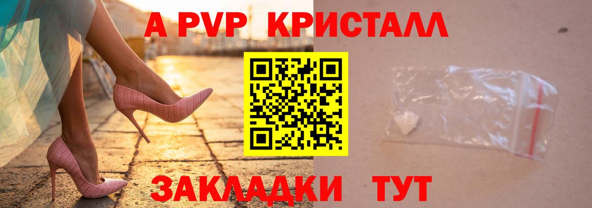 A-PVP СК Гатчина