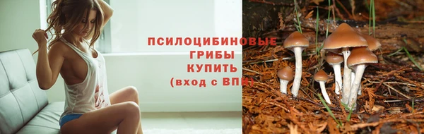 мяу мяу мука Богородицк