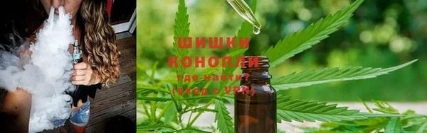 гидропоника Богородск