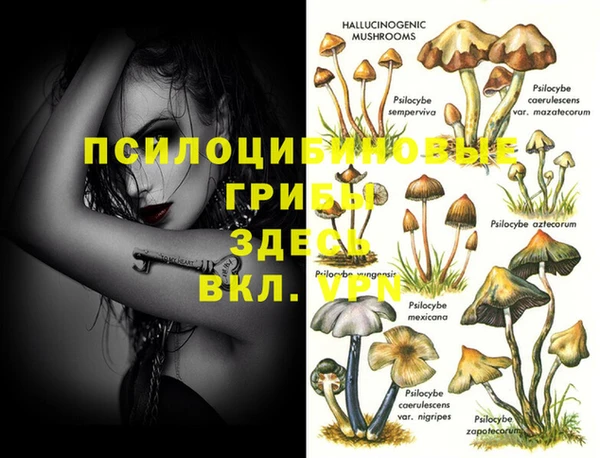 ГАЛЛЮЦИНОГЕННЫЕ ГРИБЫ Бугульма