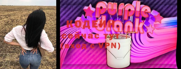 PSILOCYBIN Бородино