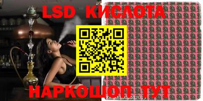 шишки Балахна