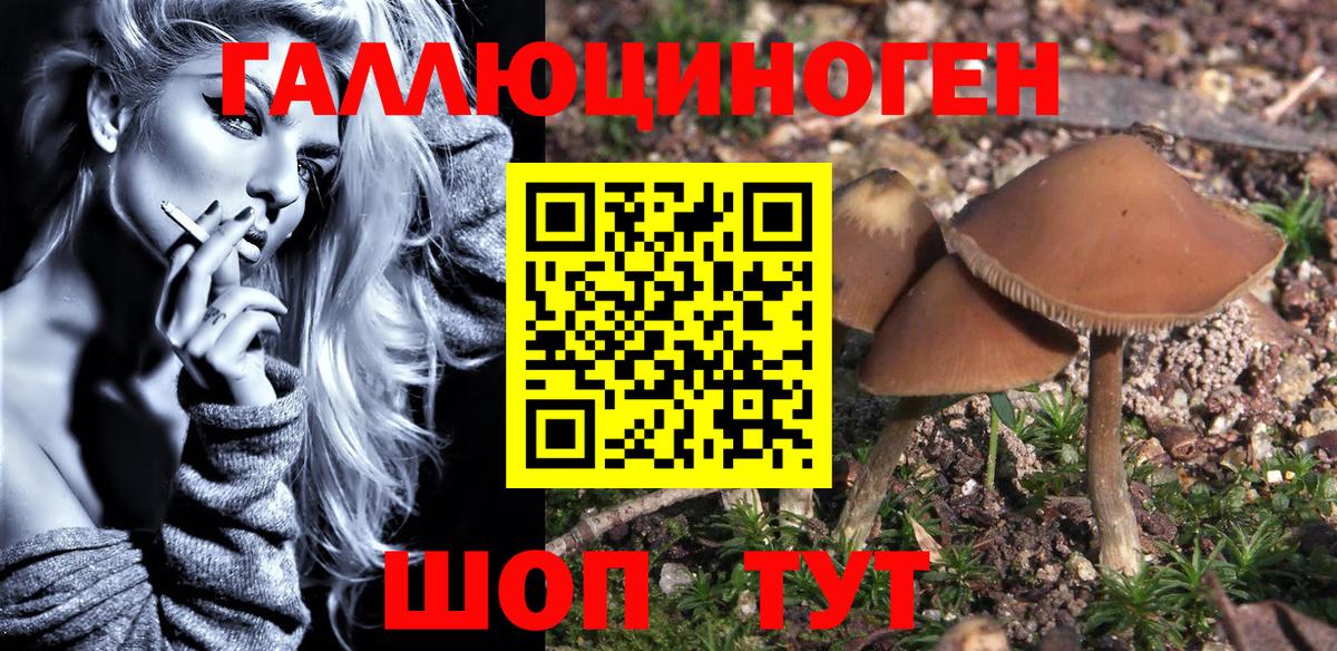 Гатчина  Псилоцибиновые грибы Psilocybe  Псилоцибиновые грибы Magic Shrooms  Вход с VPN 