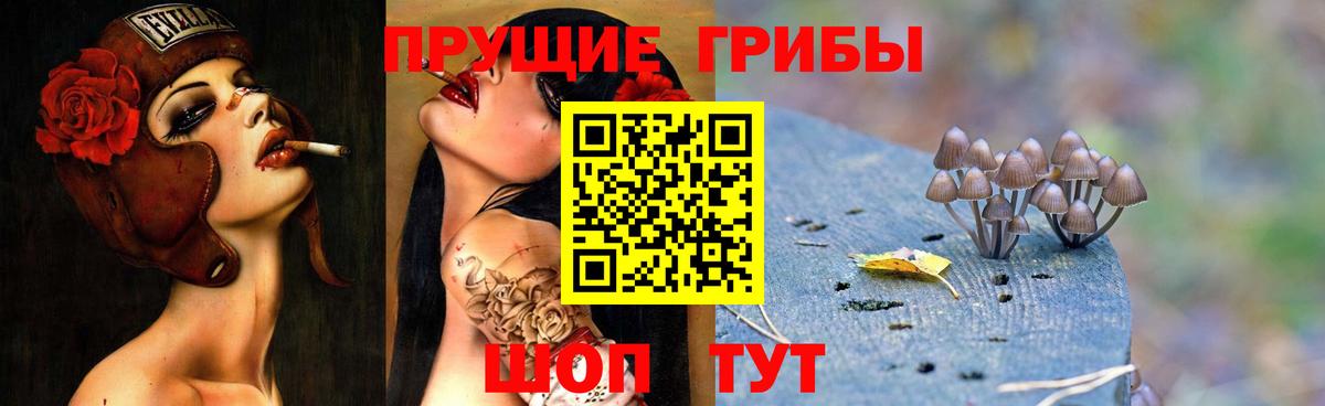 Галлюциногенные грибы ЛСД Гатчина